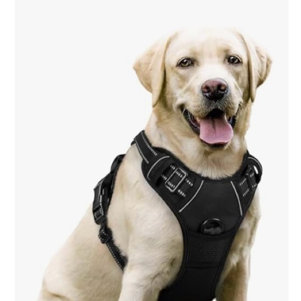 Black Dog Harness